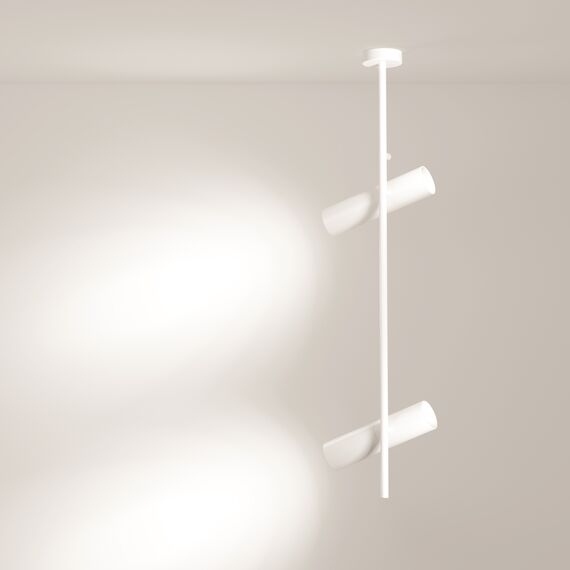 Потолочный светильник Technical C021CL-02W, изображение 6