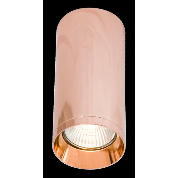 Потолочный светильник Technical C010CL-01RG, изображение 4