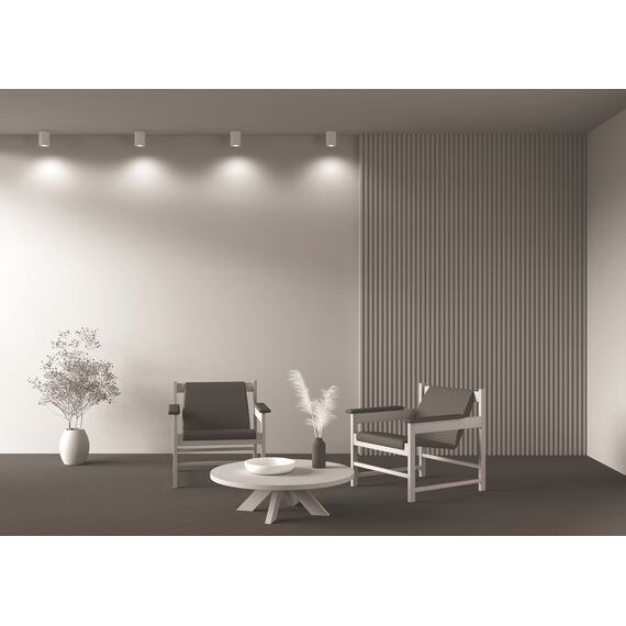 Потолочный светильник Technical C016CL-01W, изображение 10