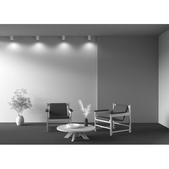 Потолочный светильник Technical C016CL-01W, изображение 17