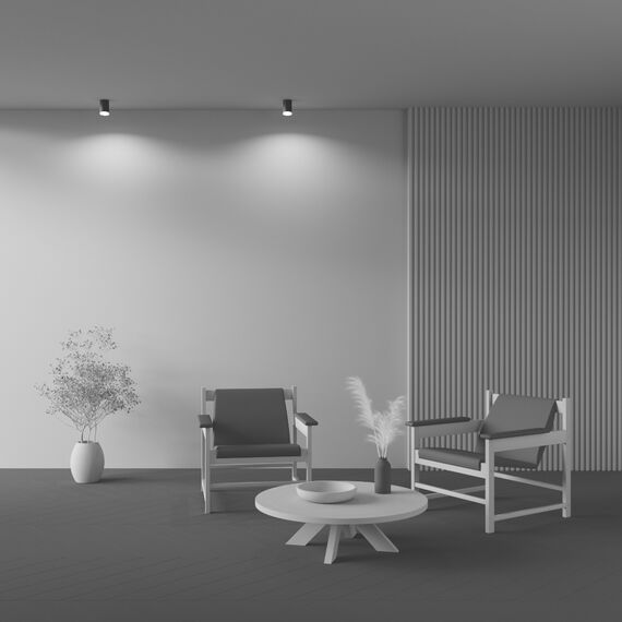 Потолочный светильник Technical C008CW-01B, изображение 5