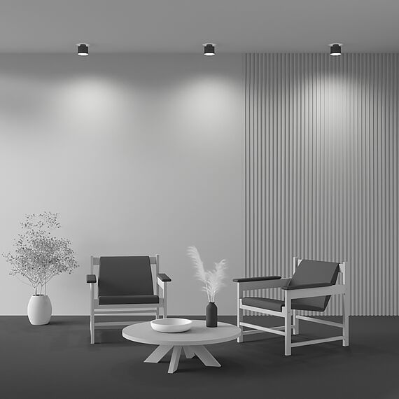 Потолочный светильник Technical C009CW-L12B, изображение 16