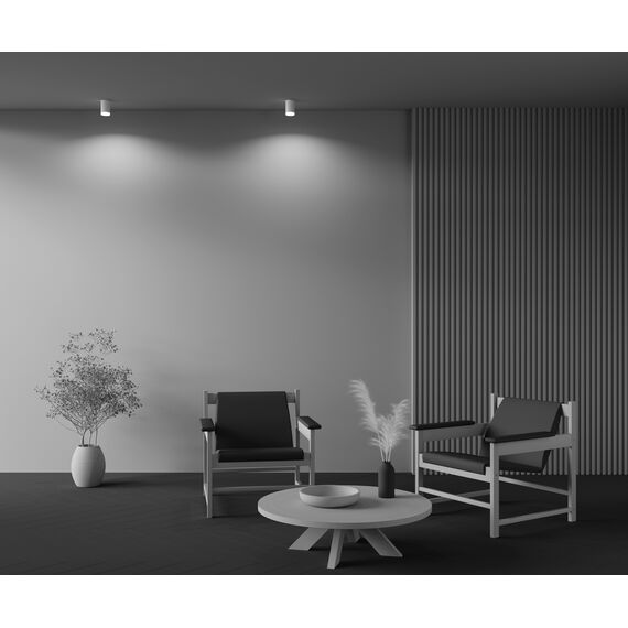 Потолочный светильник Technical C008CW-01W, изображение 6