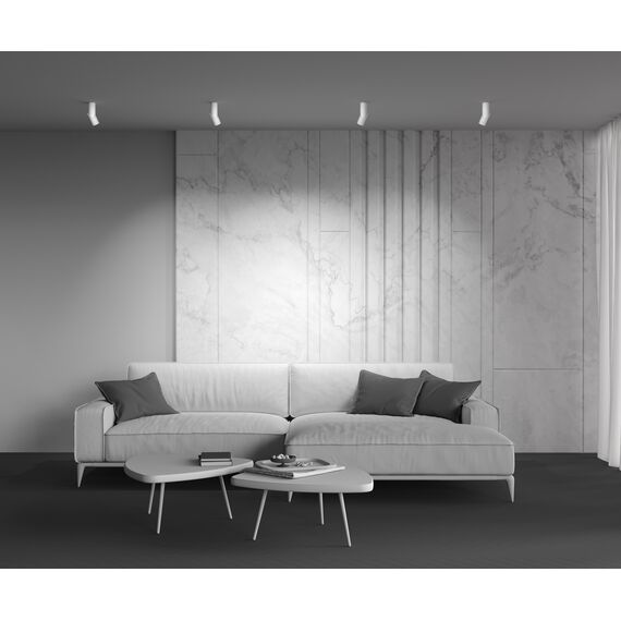 Потолочный светильник Technical C027CL-L10W, изображение 10