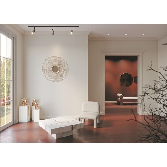 Трековый светильник Technical TR005-1-GU10-BG, изображение 7