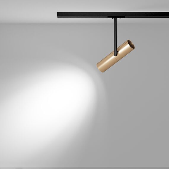 Трековый светильник Technical TR005-1-GU10-BG, изображение 14