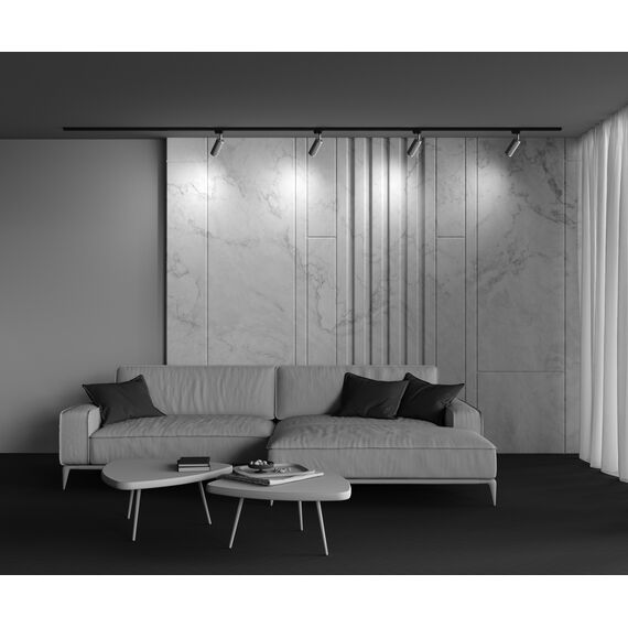 Трековый светильник Technical TR011-1-GU10-G, изображение 5