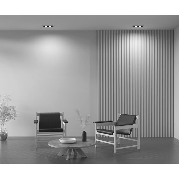 Встраиваемый светильник Technical DL008-2-02-B, изображение 18