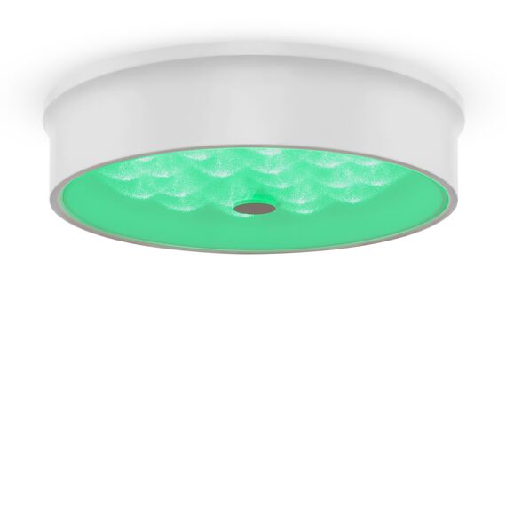 Потолочный светильник Freya FR10011CL-L24W, изображение 3