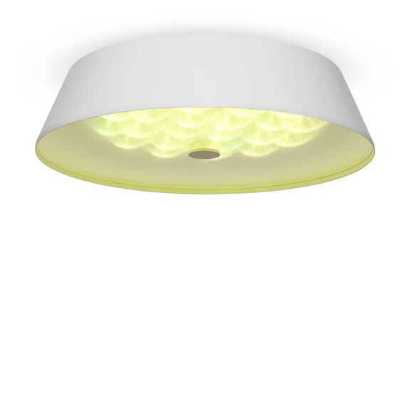 Потолочный светильник Freya FR10013CL-L24W, изображение 2