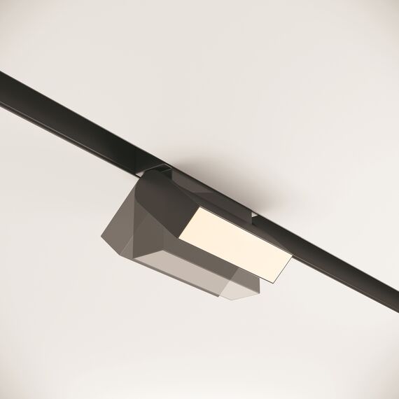 Трековый светильник Technical TR013-2-10W3K-B, изображение 7