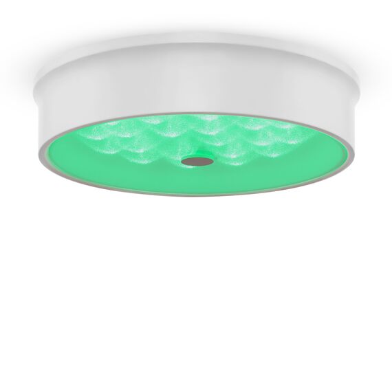 Потолочный светильник Freya FR10011CL-L24W, изображение 19