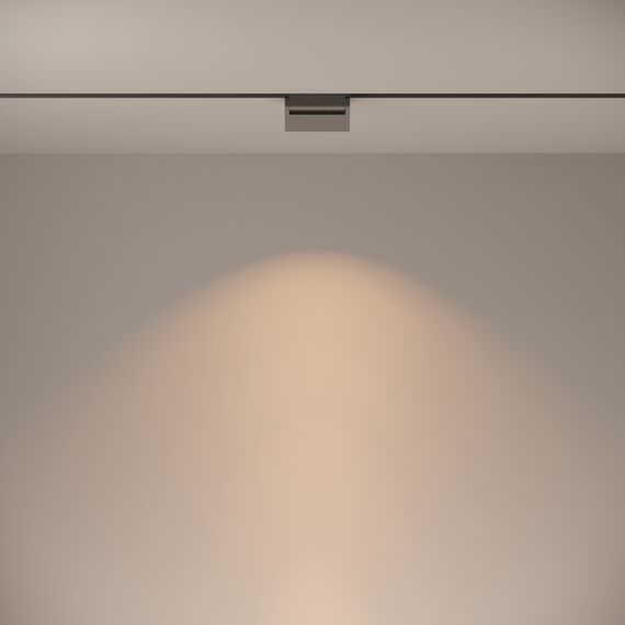 Трековый светильник Technical TR013-2-10W3K-B, изображение 6