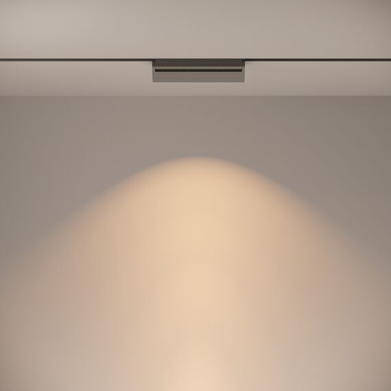 Трековый светильник Technical TR013-2-20W3K-B, изображение 5