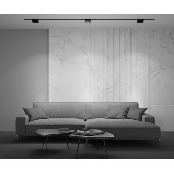 Трековый светильник Technical TR013-2-10W3K-B, изображение 15