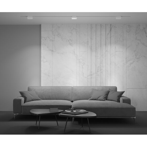 Трековый светильник Technical TR013-2-10W3K-W, изображение 8