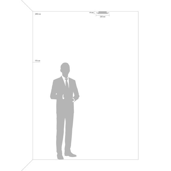 Настенный светильник (бра) Freya FR10019WL-L23W, изображение 6