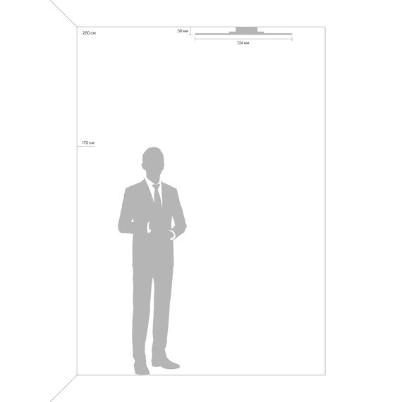 Потолочный светильник Freya FR10014CL-L87G, изображение 10