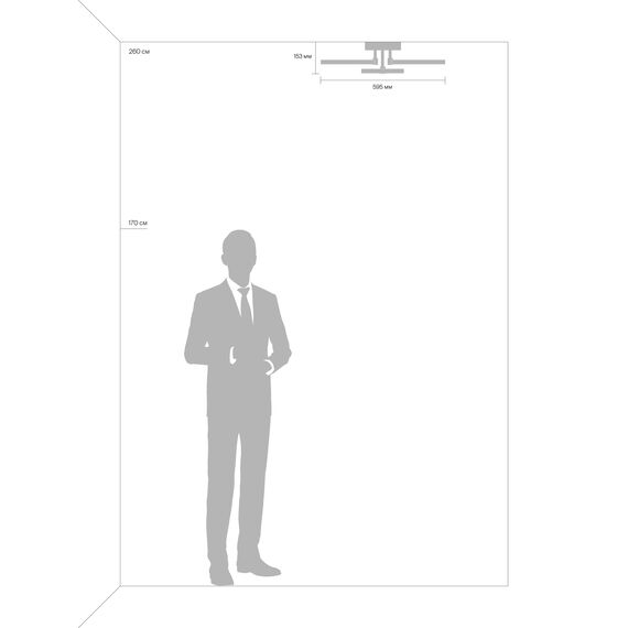 Потолочный светильник Freya FR10018CL-L40W, изображение 10