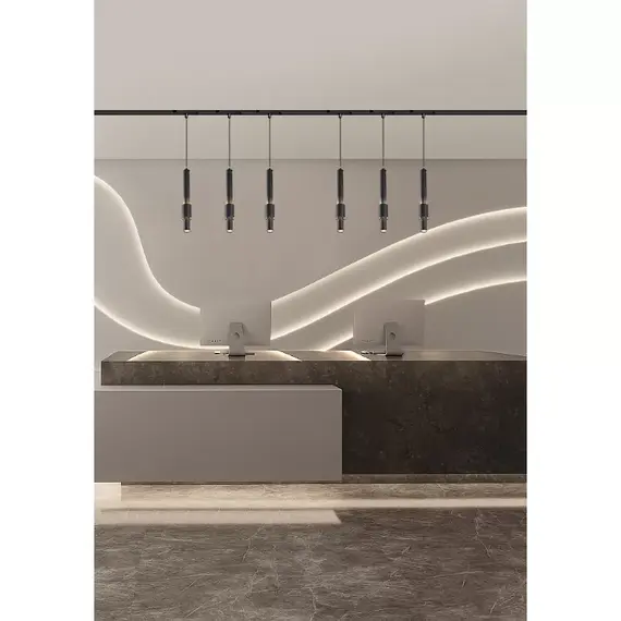 Магнитный трековый светильник iLEDEX TECHNICAL VISION 4825-045-D60-12W-38DG-4000K-BK, изображение 8