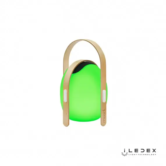 Настольный светильник iLedex Giggle OVS0990-CH WH, изображение 3