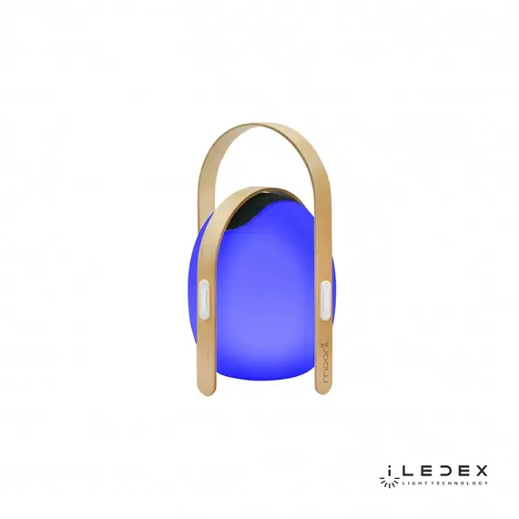 Настольный светильник iLedex Giggle OVS0990-CH WH, изображение 6