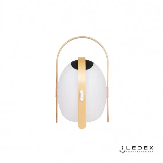 Настольный светильник iLedex Giggle OVS1100-CH WH, изображение 3