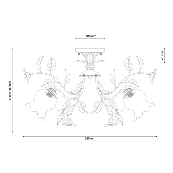 Lucia Tucci Fiori di rose 114.6, изображение 3