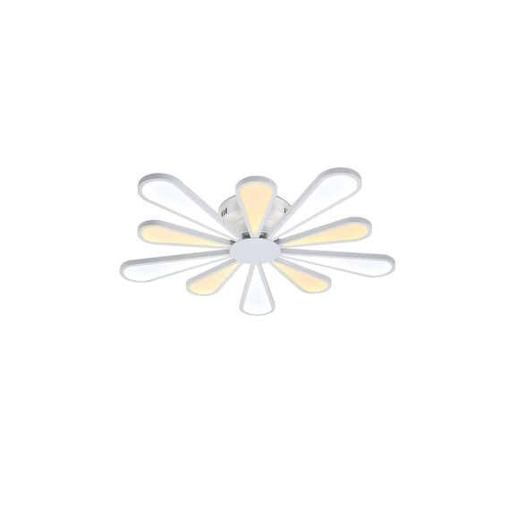 Lucia Tucci Miracoli 202.10 LED
