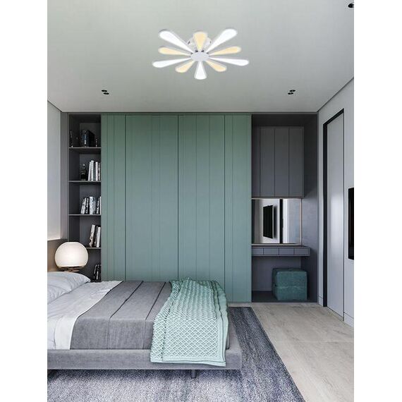 Lucia Tucci Miracoli 202.10 LED, изображение 2