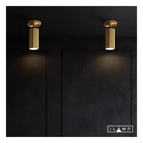 Настенно-потолочный светильник iLamp PLUM 8861C BRASS&BLACK, изображение 2