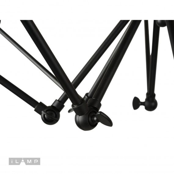 Подвесная люстра iLamp Spider Loft212-8, изображение 4