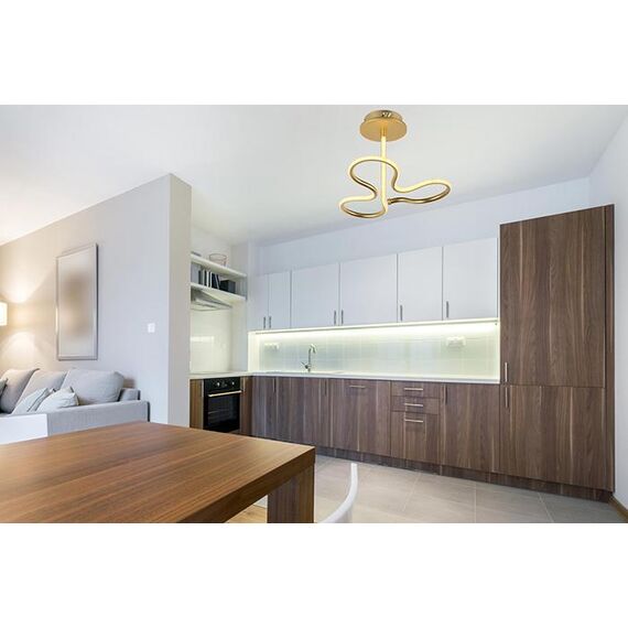 Потолочный светодиодный светильник Arti Lampadari Angelo L 1.2.35.03 G, изображение 2