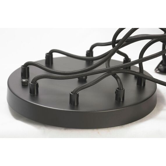 Потолочный светильник Lussole  Fairbanks GRLSP-9554, изображение 5