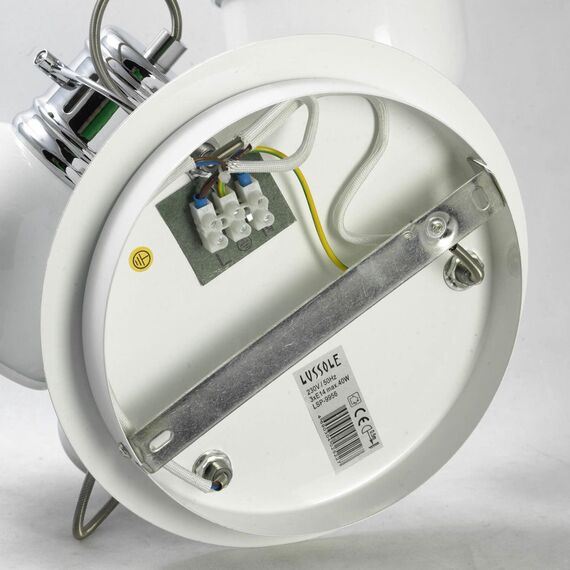 Спот Lussole  GRLSP-9956, изображение 4