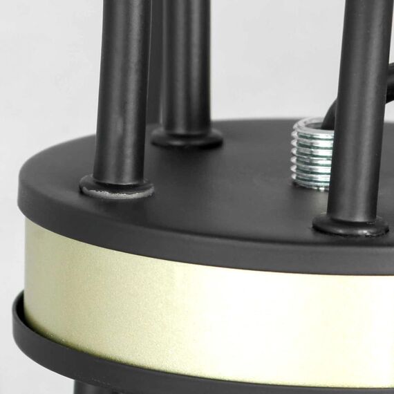 Люстра Lussole  Roosevelt LSP-8198, изображение 4