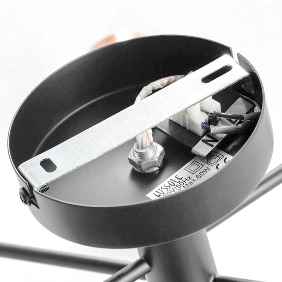 Потолочный светильник Lussole  Huron LSP-8200, изображение 5