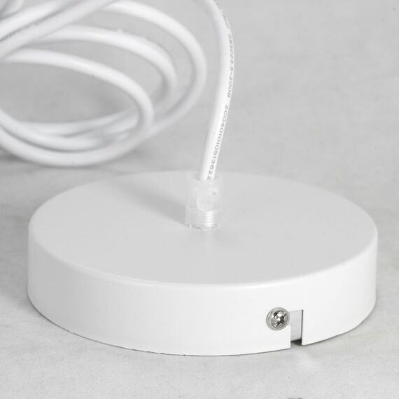 Подвесной светильник Lussole  Dove LSP-8220, изображение 6