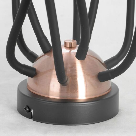 Потолочный светильник Lussole  Regina GRLSP-8247, изображение 3