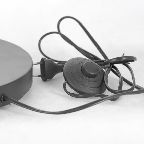 Торшер Lussole LSP-0590, изображение 7