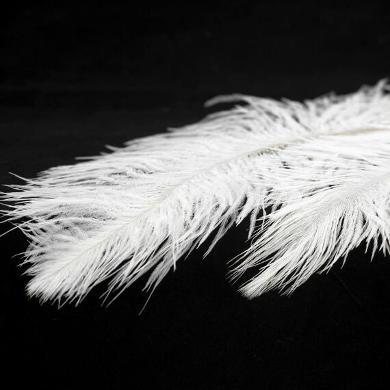 Люстра Lussole LSP-8600, изображение 2