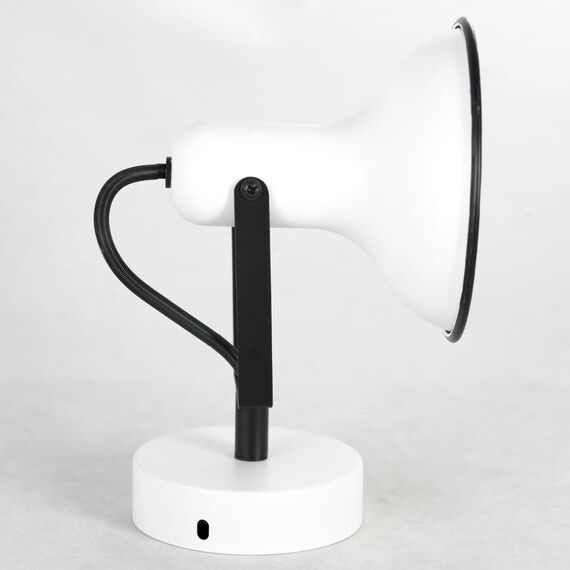 Спотовый светильник Lussole LSP-8801, изображение 2