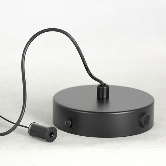 Подвесной светильник Lussole LSP-7014, изображение 4