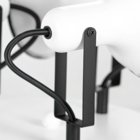 Спотовый светильник Lussole LSP-8803, изображение 3