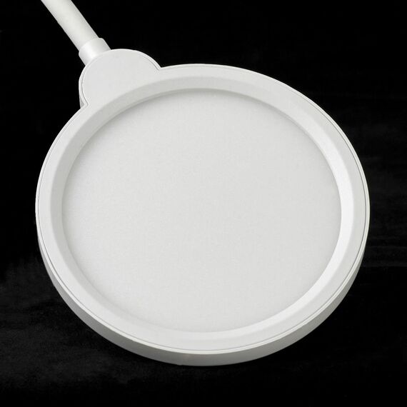 Торшер Lussole LSP-0919, изображение 2