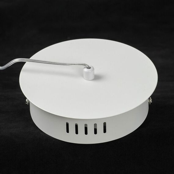 Подвесной светильник Lussole LSP-7199, изображение 5