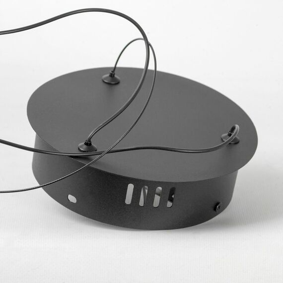 Люстра подвесная Lussole LSP-7249, изображение 4