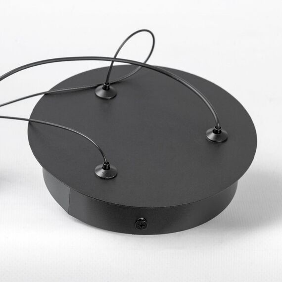 Подвесной светильник Lussole LSP-7362, изображение 5