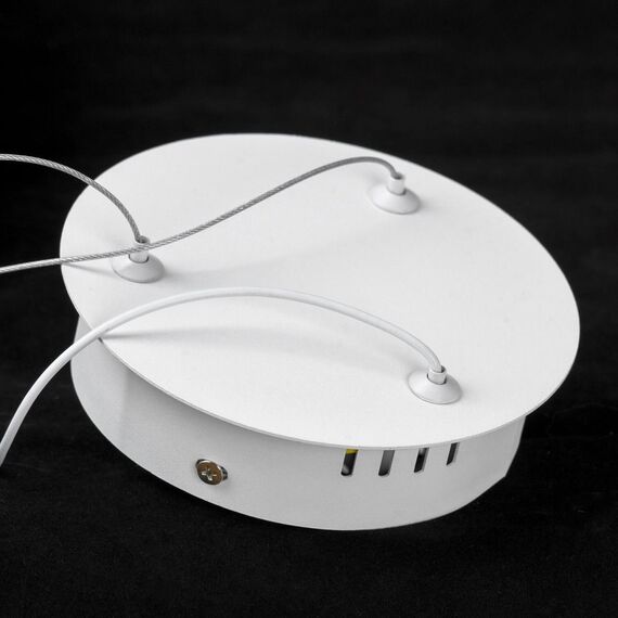 Подвесной светильник Lussole LSP-7363, изображение 4