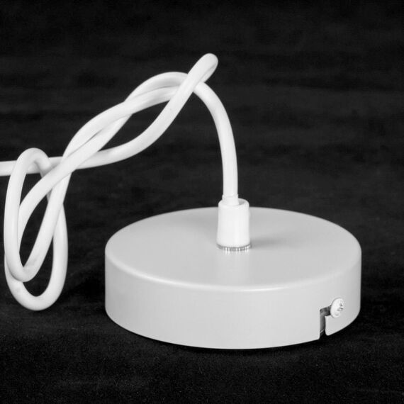 Люстра подвесная Lussole LSP-8970, изображение 6